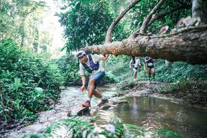 BIB: 
                            <button type="button" onclick="openModal(25433500)" class="btn btn-primary btn-sm float-right btn-popup" data-toggle="modal" data-target=".modal-high-quality">
                        <i class="fas fa-shopping-cart"></i> Add to Cart
                    </button>
                                            <button type="button" onclick="isThisMe(25433500, true)" class="btn btn-success btn-sm float-right btn-popup btn-isme hidden" data-toggle="tooltip" data-placement="bottom" title="นี่คือรูปของคุณใช่ไหม คลิกที่นี่เพื่อเอาเข้าอัลบั้ม">
                        <i class="fas fa-plus"></i> Add to album
                    </button>
                    <button type="button" onclick="isThisMe(25433500, false)" class="btn btn-warning btn-sm float-right btn-popup btn-isnotme hidden">
                        <i class="fas fa-ban"></i> Remove from album
                    </button>